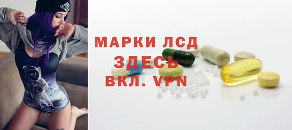 дживик Няндома