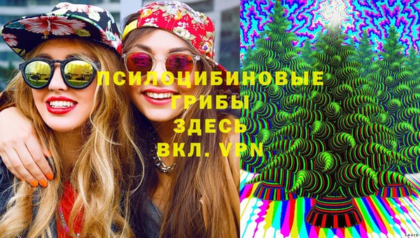мдпв Абаза