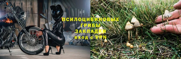 2c-b Абдулино