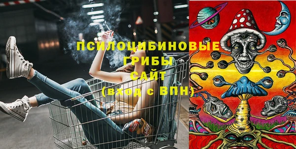 2c-b Абдулино