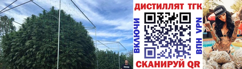 ТГК вейп Руза