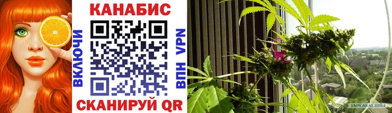 МАРИХУАНА SATIVA & INDICA  Руза 